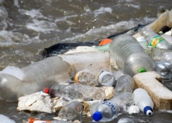 Uruguay alberga primer encuentro entre gobiernos para salvar a los océanos de los plásticos