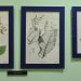 El tesoro botánico de Mutis en litografías