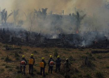 Área incendiada en Brasil casi se duplica en noviembre respecto a mismo mes en 2021