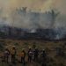Área incendiada en Brasil casi se duplica en noviembre respecto a mismo mes en 2021