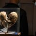 Los tesoros macabros de un museo en Colombia