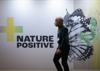 Proteger 30% del planeta, un objetivo crucial de la COP15 de biodiversidad