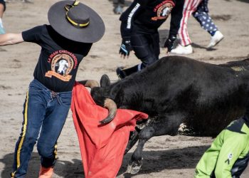 Festejos de fin de año: «Toros a la tica» o la tauromaquia al revés de Costa Rica