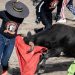 Festejos de fin de año: «Toros a la tica» o la tauromaquia al revés de Costa Rica