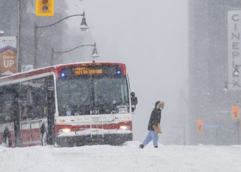 Más de 50 personas hospitalizadas tras accidente de autobús en Canadá