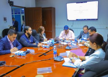 Hay dictamen favorable para prorrogar la vigencia de placas de vehículos hasta el 30 de abril de 2024