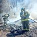 Bomberos ha atendido más de 200 incendios en un mes en El Salvador