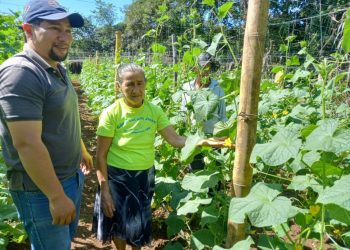 El Ministerio de Agricultura y Ganadería entrega kits a productores de hortalizas en Morazán