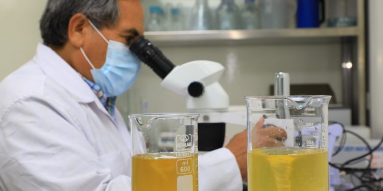 Medio Ambiente Cuenta Con El Primer Laboratorio De Biología Molecular ...