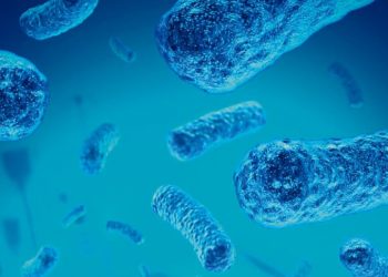 Al menos 18 muertos y 68 casos de meningitis por hongo en México