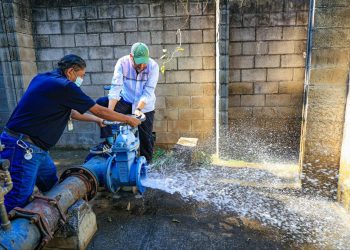 Amave operaba de forma ilegal en San Miguel y Usulután