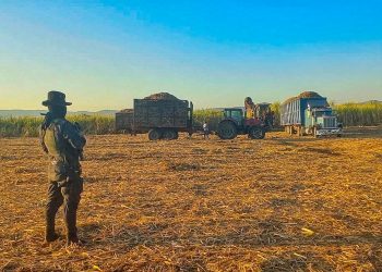 Azucareros reportan baja en extorsiones tras régimen de excepción