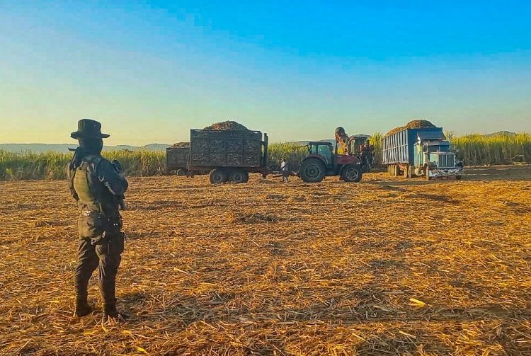 El presidente de la AAES aseguró que los agentes de seguridad del Gobierno mantienen vigilancia en las zonas cañeras.