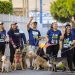 Instituto de Bienestar Animal recolecta 2,000 libras de comida para mascotas