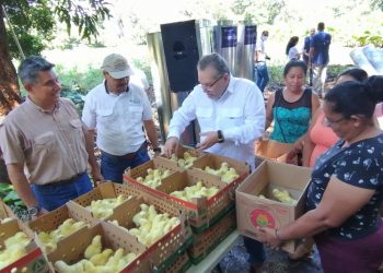 Un total de 185 familias recibieron pollos de engorde en la zona oriental de El Salvador