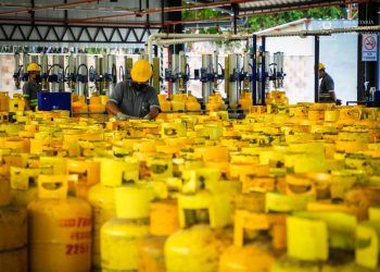 El precio del gas propano se mantuvo estable durante todo el año