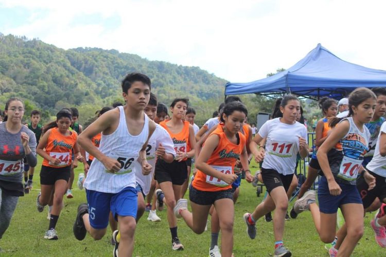 Campo traviesa es una de las modalidades del atletismo que más se práctica en el Municipio de La Palma. Foto/Fedeatletismo