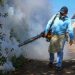 Desarrollan constantes jornadas de fumigación en San Miguel