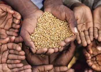 El hambre afecta a 56,5 millones en América Latina, 13,2 millones más que en 2019
