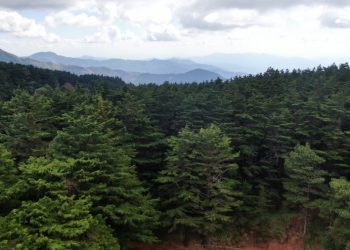 Parque Nacional Montecristo: Una aventura de altura y en contacto con la naturaleza
