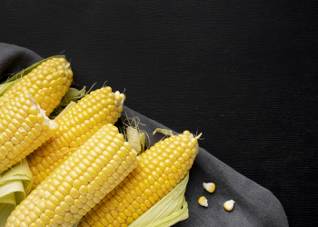 Teosinte: el maíz de dios