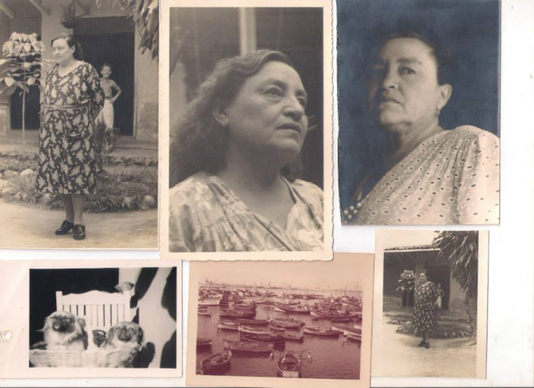 Semblanza de Carlota de León viuda de Trigueros, Maestra Ilustre de El