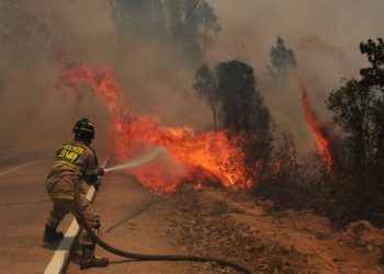 Un muerto, 5 lesionados y 46 casas destruidas deja incendio forestal en Chile
