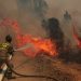 Un muerto, 5 lesionados y 46 casas destruidas deja incendio forestal en Chile