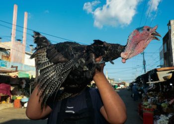 FOTOS: Los preferidos en la mesa de los salvadoreños