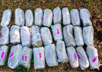 Encuentran armamento y drogas de pandillas en barril semienterrado en San Miguel
