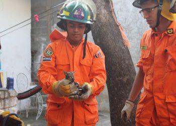 Rescatan a gato que cayó en pozo de 20 metros de profundidad en La Unión