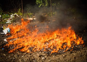 Destruyen droga valorada en más de $115,000 y decomisada en diversos operativos en El Salvador