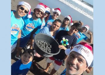 Apadrina una tortuga marina por medio del baile