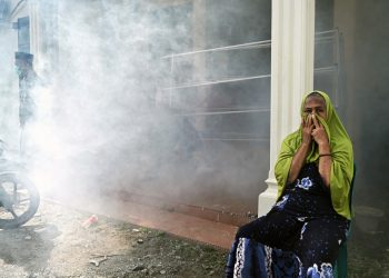 Científicos identifican en Asia mosquitos superresistentes a los insecticidas