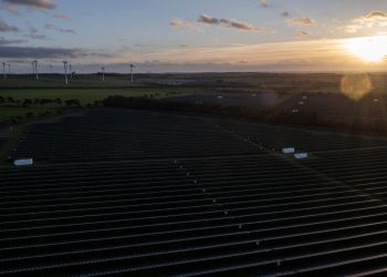 Las inversiones en energías renovables llegaron a mil millones de dólares en 2022, según estudio