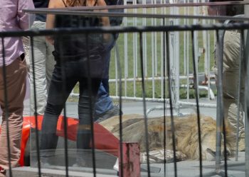 Dejan león muerto en el exterior del palacio presidencial de Chile