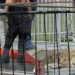 Dejan león muerto en el exterior del palacio presidencial de Chile