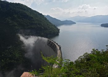 Cormoranes amenazan la pesca en la mayor represa de Honduras