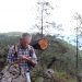 Honduras perdió el 10 % de sus bosques en 11 años