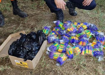 PNC y Protección Civil decomisan 5,290 silbadores en La Unión