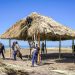 Autoridades investigan uso de material de flora protegida para fabricación de ramadas en playa Cangrejera