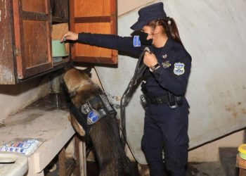 Cercos de seguridad golpean el narcomenudeo en comunidades Tutunichapa y La Granjita
