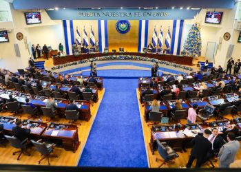 «Se podría replantear reducir a los diputados», Guillermo Gallegos