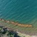 Ministerio de Medio Ambiente tomó muestras del lago de Coatepeque, Santa Ana