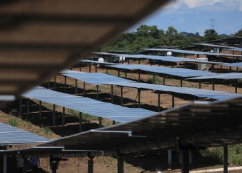 Gobierno concretó $45 millones de inversión extranjera en 2022