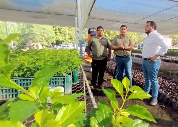 El Ministerio de Obras Públicas reforestará 7,218 kilómetros de carretera en todo el país y sedes de la UES