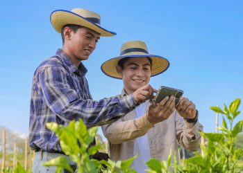 Gobierno dará un nuevo impulso a la agricultura con el uso de tecnología 