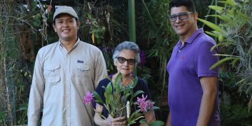 Engañar para sobrevivir: orquídeas