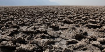 Los últimos ocho años han sido los más calurosos del planeta