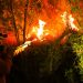 Autoridades logran sofocar incendio en Volcán de San Salvador